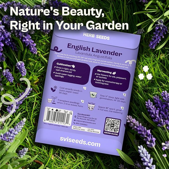 SVI 1500 English Lavender Seeds for Planting (Lavandula angustifolia) – Fragrant Perennial Lavender Flowers – Heirloom Herb Seeds for Borders, Herb Garden & Containers, Wildflower Meadows