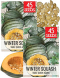 Seed Needs Winter Squash Seeds for Planting Table Queen Squashes - Non-GMO Heirloom & Untreated Vegetable Seed to Plant an Outdoor Home Grown Veggie Garden