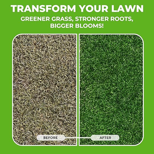 Covington 10-10-10 NPK Liquid Fertilizer (32oz) All Purpose Liquid 10 10 10 NPK - Lawn Food with Nitrogen Phosphorus Potassium Concentrate for Lawns, Outdoor & Indoor Plants, Vegetable Gardens