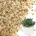 NUPICK 3-5mm Coarse Sand for Plants, 12lb Horticultural Grit for Succulents, Desert Silica Sand for Cactus, Decorative Gravel for Landscaping, Gold Grit for Aquariums, Bonsai, Vases Fillers