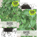 Seed Needs Genovese Basil/Lemon Basil Seeds for Planting Fresh Kitchen Herbs - Non-GMO Heirloom & Untreated Annual Herb Seed to Plant a Culinary Garden Indoors or Outdoors