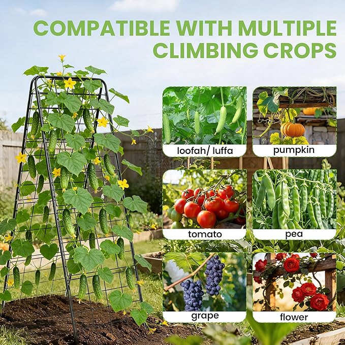 Garden Trellis for Cucumbers, 50” x 16“ Adjustable A-Frame Plant Support for Climbing Plants Outdoor, Vegetable, Flowers, 2 Pack Heavy Duty 1cm Metal Vegetable Trellis for Backyard, Raised Bed, Patio