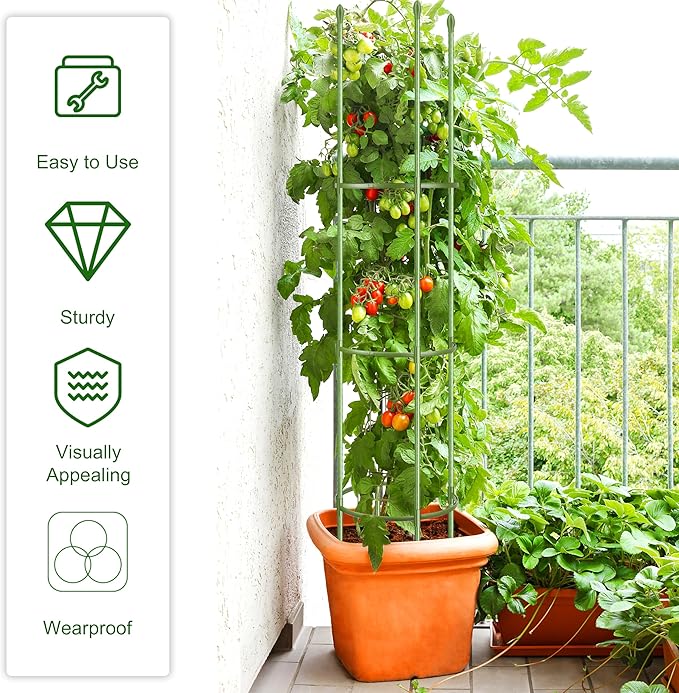 6 Pack Tomato Cages for Garden Plant Support 64 Inches Tall Garden Trellis Plant Stakes for Indoor Outdoor Plants Climbing Plants Vegetable Fruit Crop Flower Vine, Green
