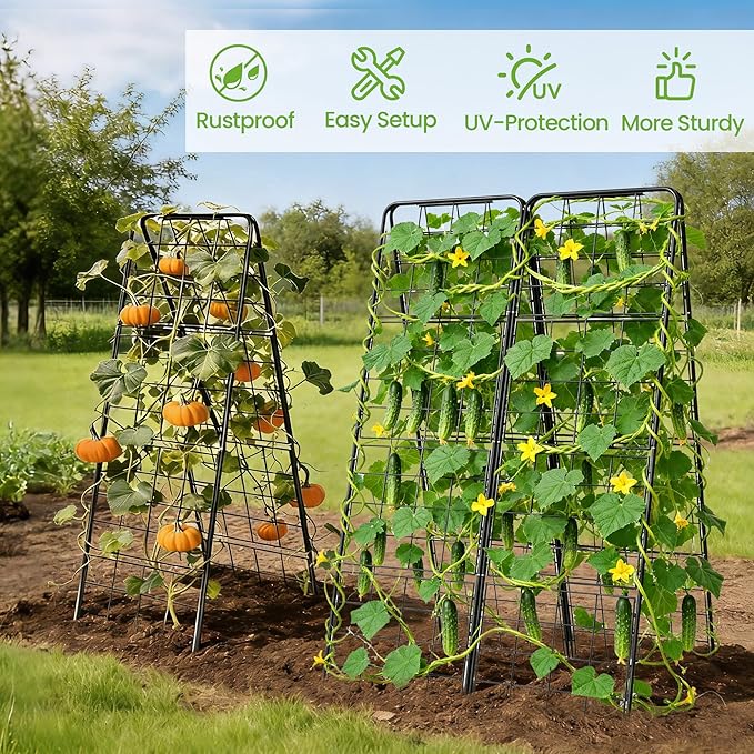 Garden Trellis for Cucumbers, 50” x 16“ Adjustable A-Frame Plant Support for Climbing Plants Outdoor, Vegetable, Flowers, 2 Pack Heavy Duty 1cm Metal Vegetable Trellis for Backyard, Raised Bed, Patio
