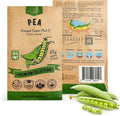 Organo Republic Pea Oregon Sugar Pod II Seeds Pack 15G - Over 75 Non-GMO Heirloom Pea Seeds for Planting Vegetables in Individual Seed Packet, Vegetable Seeds for Planting Home Garden Indoor & Outdoor