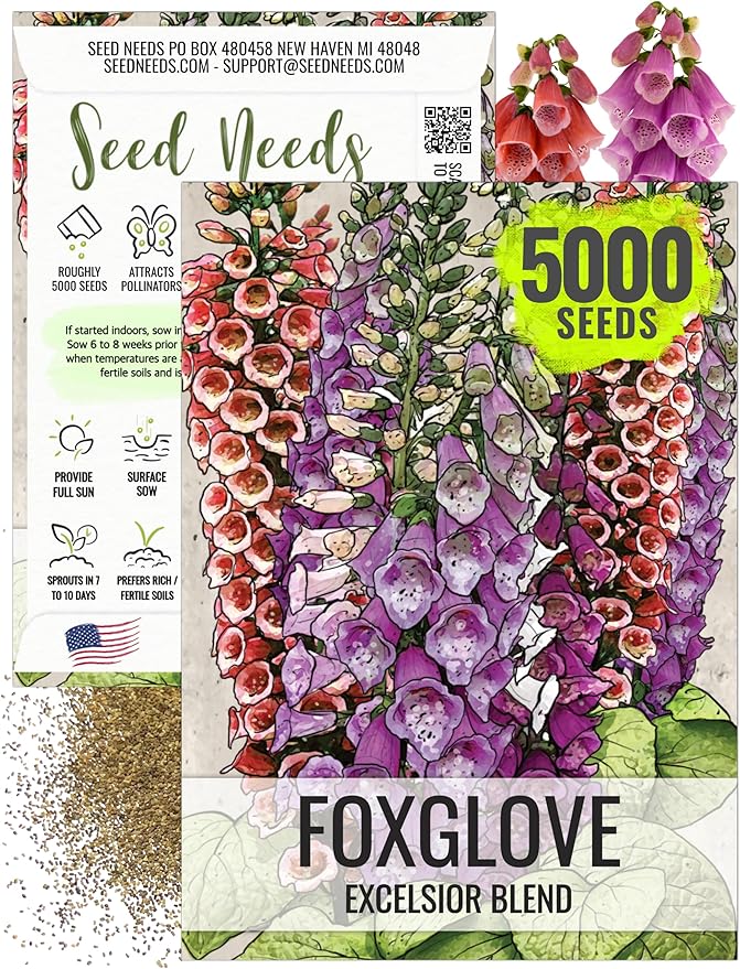 Seed Needs Foxglove Seeds for Planting Excelsior Mix Fox Glove - Heirloom & Open Pollinated Flowers to Plant an Outdoor Butterfly Garden with Colorful Wildflowers (1 Pack (5,000 Seeds))