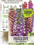 Seed Needs Foxglove Seeds for Planting Excelsior Mix Fox Glove - Heirloom & Open Pollinated Flowers to Plant an Outdoor Butterfly Garden with Colorful Wildflowers (1 Pack (5,000 Seeds))