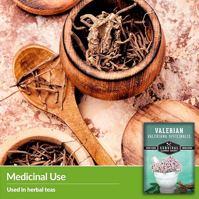 Survival Garden Seeds - Valerian Seeds for Planting - 1 Packet with Instructions to Plant and Grow Medicinal Herb Valeriana Officinalis in Your Home Herb Garden - Non-GMO Heirloom