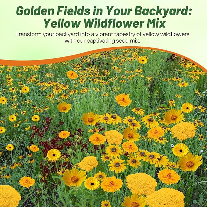 Outsidepride Yellow Color Shades Mix Wildflower Seeds - 10000 Pcs Annual Easy to Grow, Low Maintenance Self-Seeding Flower Seeds w/Vibrant Blooms for Pollinator-Friendly Gardens, Containers & Borders