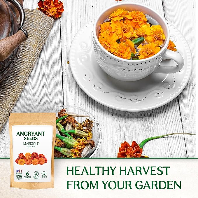 Marigold Sparky Flowered Mix - Beautiful Flowers Seeds for Planting Indoors and Outdoors in Your Home Garden - 1998+ Non GMO Mix Seeds - 100% USA Grown - Annual, Open Pollinated Wildflower Seeds Bulk
