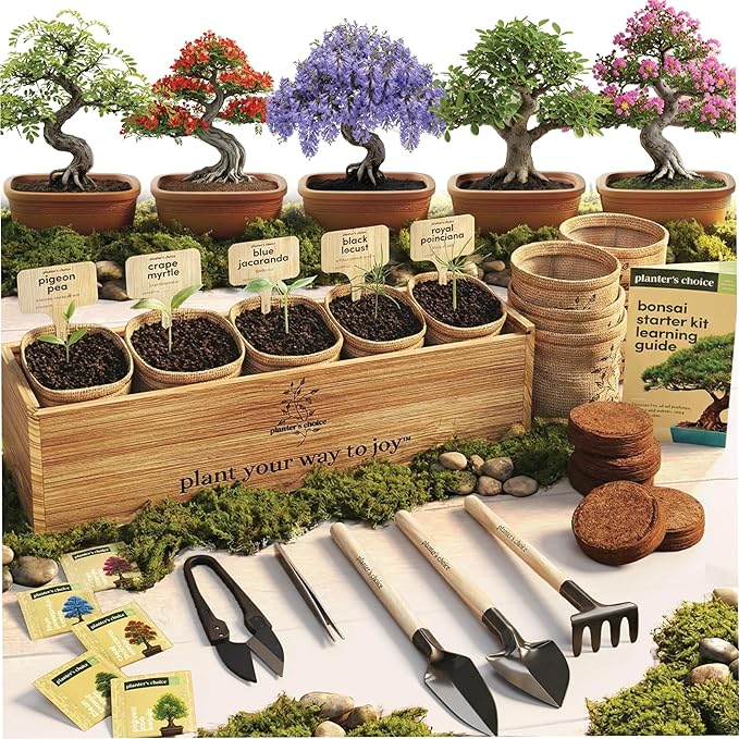 Planter's Choice Bonsai Tree Starter Kit - Unique Easter Gifts for Women, Men - Birthday Gifts for Adults - Indoor Live House Plants - DIY for Adults Craft Kits - Hobby Gift for Gardening Lovers