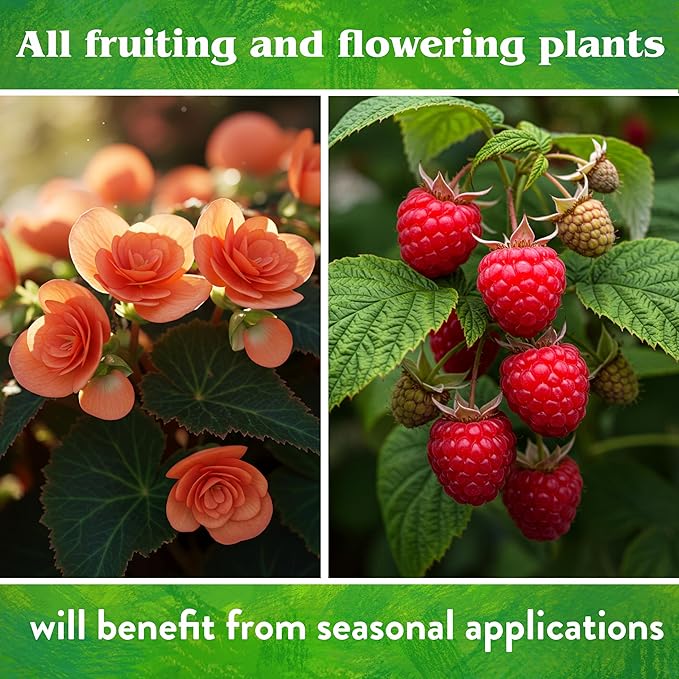 Down To Earth All Natural Fertilizers Organic Island Phosphate - High Phosphorus Plant Food for Buds, Blooms, Flowers 0-11-0, 5 lb
