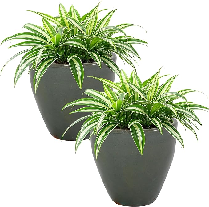 Sunnydaze Resort Round Ceramic Planter - Set of 2 Indoor or Outdoor Plant Pots with Drainage Hole - 10" - Gray