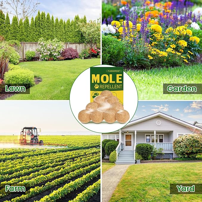 10 Pack Mole Repellent, Peppermint Oil to Repel Mole,Gopher, Vole Repellent Outdoor Use for Lawn, Garden
