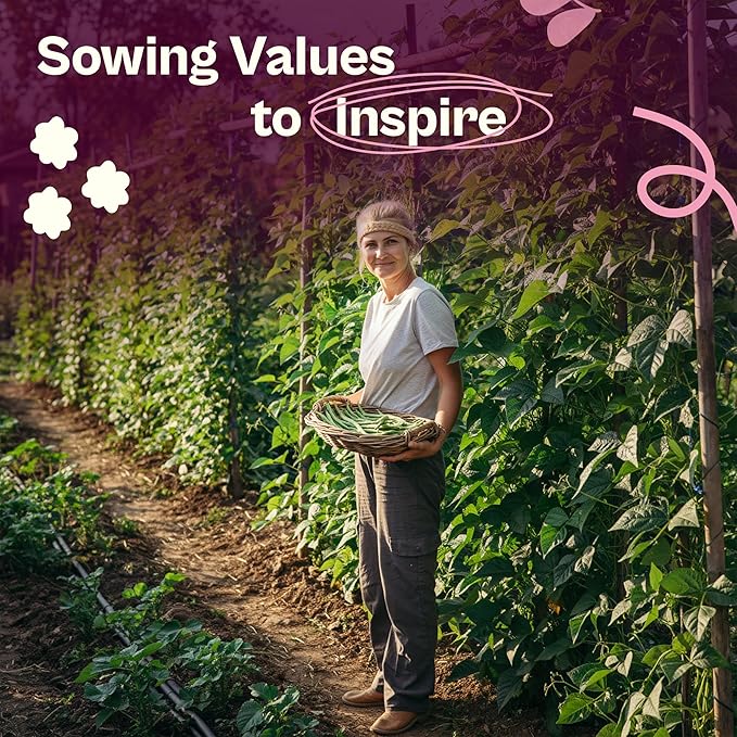 SVI 50 Blue Lake 274 Bush Green Bean Seeds (Phaseolus vulgaris) – Bush Beans Seed Packets, String Beans – Heirloom Vegetable Seeds for Outdoors, Home Garden & Containers