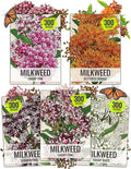 Seed Needs Milkweed Seeds to Plant a Butterfly Garden for Attracting Monarch Butterflies - Collection of Pink, Orange & White Asclepias Milk Weed Variety Pack (5 Packs)