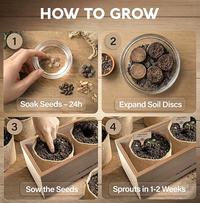 Bonsai Tree Kit for Beginners – 5X Unique Japanese Bonzai Trees | Complete Indoor Bonsai Starter Kit for Growing Bonsai Plants with Tools & Planters – DIY Gardening Gifts for Women & Men