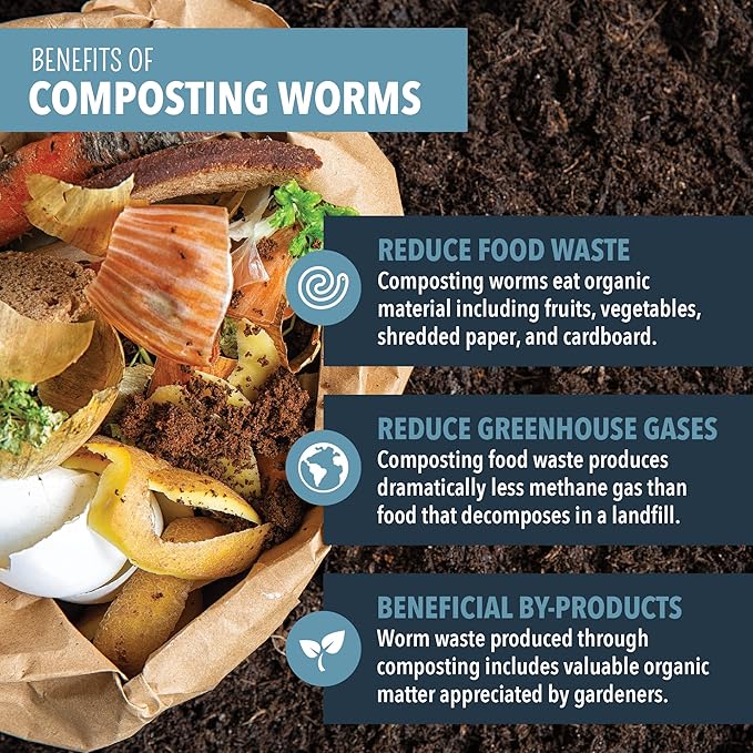 Worm Nerd Composting Worms – Live Red Wriggler Compost Worms Mix – Sustainable Compost Worms Live for Organic Materials - Worm Composting Set for Better Soil Structure 100 Worms *CANNOT SHIP TO HAWAII