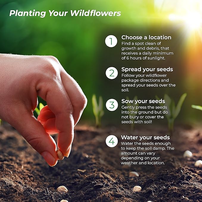 Created By Nature Indiana Wildflower Seed Mix, 16 Flower Varieties, 40,000 Seeds