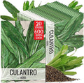 Seed Needs Culantro Seeds for Planting Mexican Coriander - Non-GMO Heirloom & Untreated Culinary/Medicinal Herbs to Grow an Indoor/Outdoor Herb Garden (20 Packs)