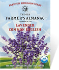 The Old Farmer's Almanac Heirloom Lavender Seeds (Common English) - Approx 360 Seeds - Non-GMO, Open Pollinated