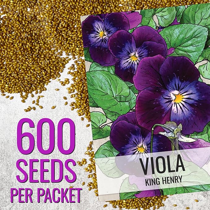 Seed Needs Viola Seeds for Planting King Henry Violas - Heirloom & Open Pollinated Annual Flower Seed to Plant an Outdoor Butterfly Wildflower Garden (1 Pack)