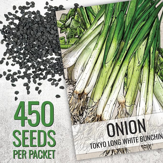 Seed Needs Onion Seeds for Planting Tokyo White Bunching Long Day Onions - Non-GMO Heirloom & Untreated Vegetable Seeds to Plant an Outdoor Home Grown Veggie Garden (1 Pack)