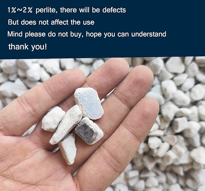 20 QT Professional Grade Horticultural Organic Perlite (20 QT, Large Size - Perlite)
