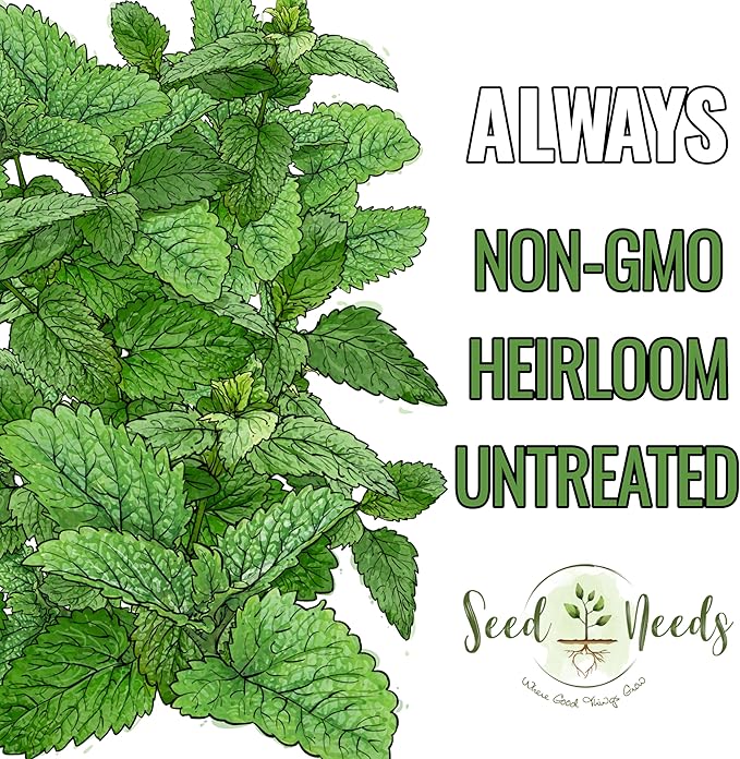 Seed Needs Lemon Balm Seeds for Planting - Non-GMO, Heirloom & Untreated Perennial Medicinal Herb - Plant Indoors/Outdoors Used for Making Calming Tea (2 Packs)