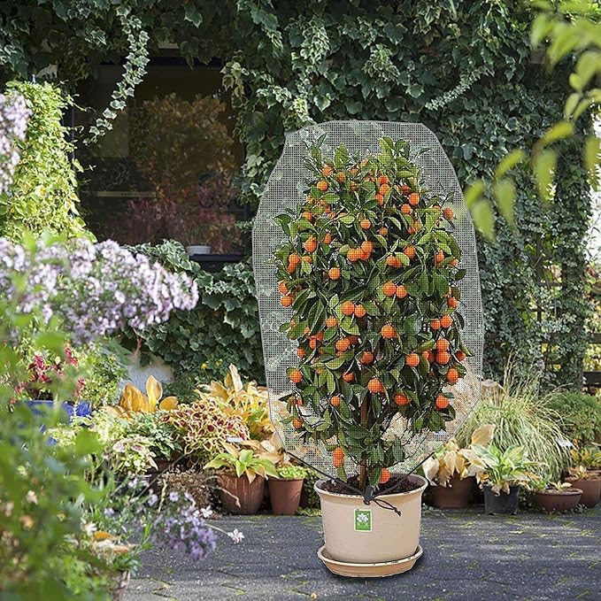 Alpurple 3 PCS Insect Bird Barrier Netting Mesh with Drawstring- 3.2 x 2.6 Feet Fruit Tree Net-Garden Netting Plant Cover for Protect Plant Fruits Flower from Insect Bird Eating