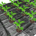 codree 13 x 4 Ft Garden Weed Barrier Landscape Fabric with Planting Holes- Heavy-Duty Garden Weed Control Barrier- Weeds Block Gardening Mat with 6 Ground Nail for Outdoor Garden