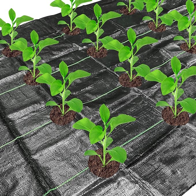 codree 13 x 4 Ft Garden Weed Barrier Landscape Fabric with Planting Holes- Heavy-Duty Garden Weed Control Barrier- Weeds Block Gardening Mat with 6 Ground Nail for Outdoor Garden