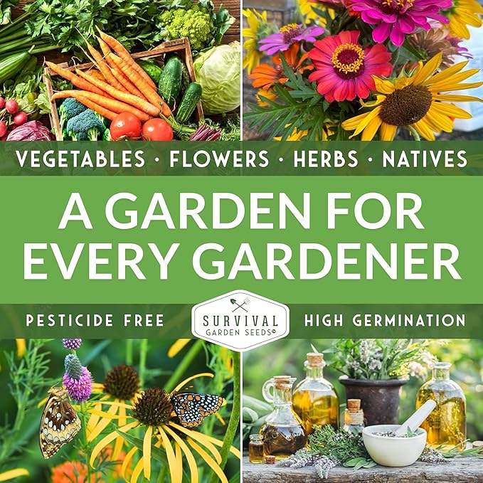 Common Sunflower (Helianthus annuus) Seeds for Planting | Giant Bird & Pollinator Magnet | Fast-Growing Native Wildflower - Survival Garden Seeds - 1 Pack