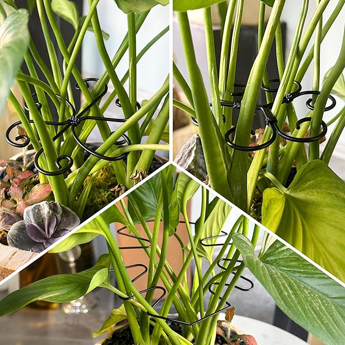 4PCS Metal Heart Stakes for Indoor Plants, 4.1 * 3.7 in Stackable Monstera Stem Support Hook for Growth, Stabilizer for Leaves & Adjustable Clamp Set Accessories for Climbing Plants (Heat)