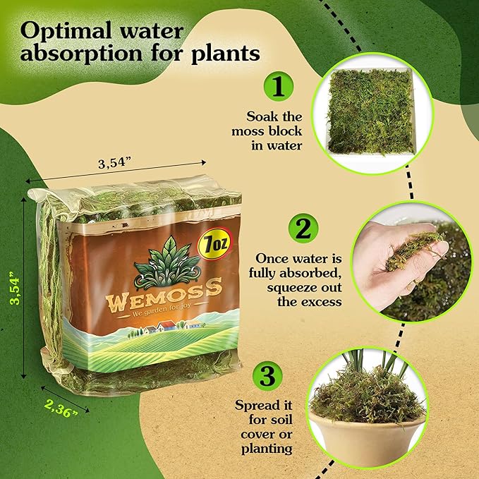 Natural Moss for Plants Indoor, Dried Moss for Potted Plants, Orchid Moss for Repotting, Forest Moss for Orchid Potting Mix, Decorative Moss Filler for Planters and Craft Moss (7oz)