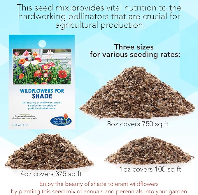 BBB Seed Partial Shade Wildflower Seeds 4oz - Open-Pollinated Wildflower Seed Mix Packet, No Fillers, Annual, Perennial Wildflower Seeds for Planting Year Round, 1/4 Pound