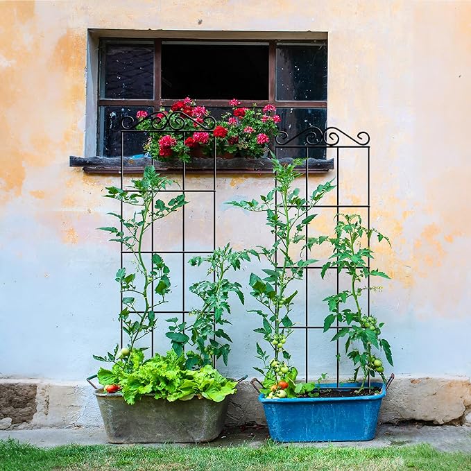 ARIFARO 57.5'' Metal Garden Trellis for Climbing Plants,(Pack of 4) Indoor/Outdoor Sturdy Plant Trellis for Potted Plants,House Plants, Climbing Vines, Black