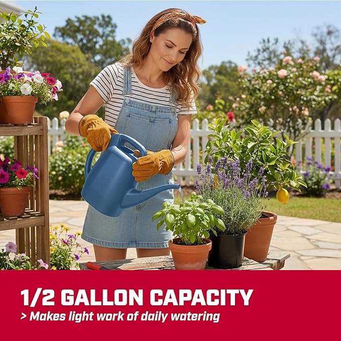 Chapin 48006 Watering Can, Garden, Indoor and Outdoor Plants, Recycled Plastic, Made in USA, 1/2 Gallon, Blue