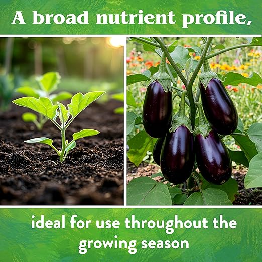Down To Earth All Natural Fertilizers Organic Vegetable Garden - Plant Food for Vegetables, Herbs, Greens and Raised Beds 4-4-4, 40 lb