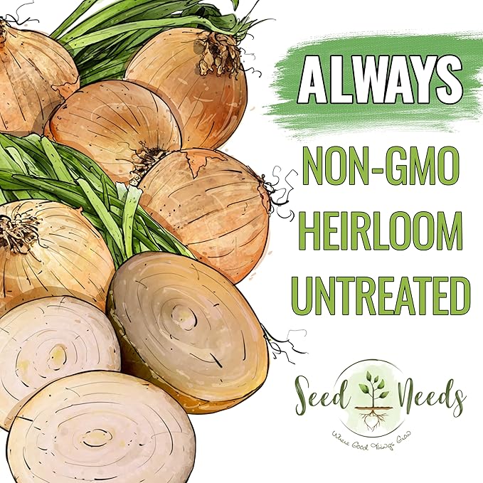 Seed Needs Onion Seeds for Planting Yellow Sweet Spanish Long Day Onions - Non-GMO Heirloom & Untreated Vegetable Seeds to Plant an Outdoor Home Grown Veggie Garden (1 Pack)