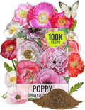 Seed Needs Shirley Mixed Poppy Seeds for Planting Double Mixture | 100,000+ Heirloom Seeds Papaver Rhoeas Open Pollinated | Bulk Package Double Mixture Blend Annual Flowering Seed