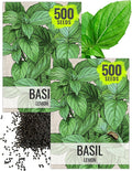 Seed Needs Lemon Basil Seeds for Planting - Non-GMO Heirloom & Untreated Culinary Herb Seed to Plant an Indoor or Outdoor Home Grown Kitchen Garden (2 Packs)