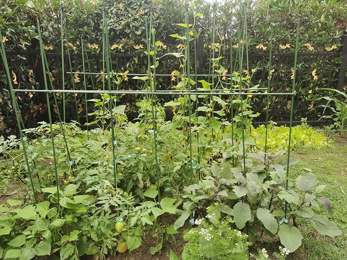 G-LEAF Garden Stakes 6 ft Plastic Coated Steel Tube Sturdy Metal Plant Sticks for Tomato,Cucumber,Bean,Tree,Pack of 50