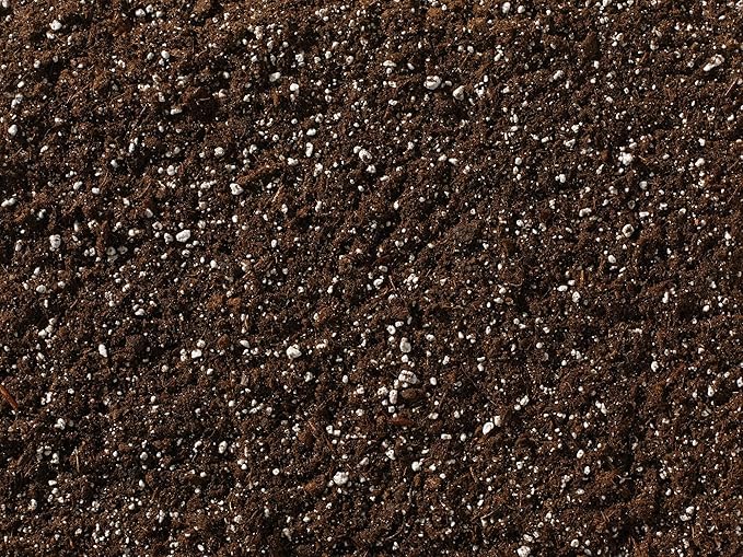Black Gold Natural & Organic Potting Mix 8qt