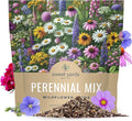 Perennial Wildflower Seeds Mixture - Bulk 1 Ounce Packet - Over 15,000 Pure Live Seed - Open Pollinated and Non GMO…