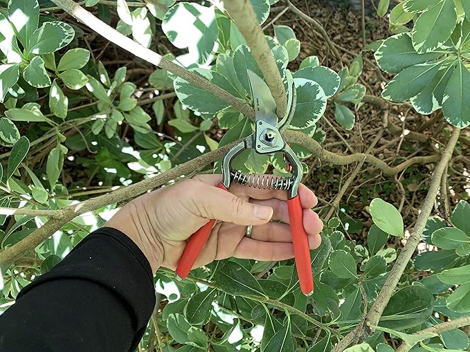 Corona Tools Forged Steel ClassicCUT Bypass Hand Pruner – 1-Inch Cut Capacity Garden Pruning Shears for Stems & Branches, Heavy-Duty Bypass Pruners for Tree, Shrub & Plant Trimming