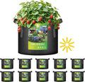 iPower 10 Pack 5 Gallon Grow Bags with Labels, 300G Thickened Nonwoven Plant Fabric Pots with Handles, Aeration Garden Grow Pots for Tomato Potato Vegetables, Fruits, Flowers, Black