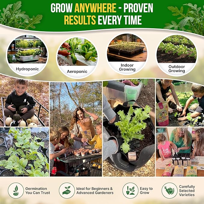 Organo Republic Arugula Roquette Seeds Pack 5G - Over 2900 Non-GMO Heirloom Arugula Seeds for Planting Greens in Individual Seed Packet, Greens Seeds for Planting Home Garden Indoor & Outdoor Garden