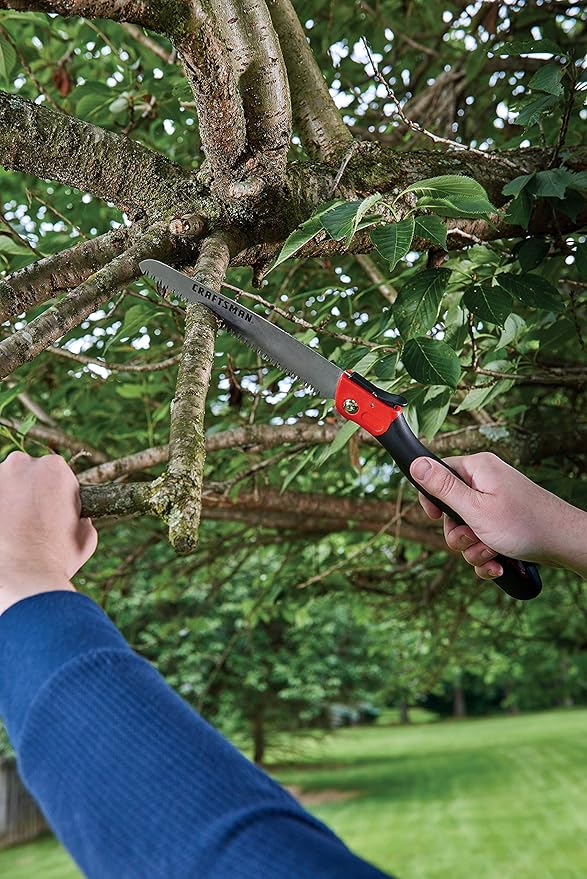 CRAFTSMAN Folding Hand Saw, 8 in. Blade, Compact Design, for Camping, Pruning, Cutting Wood, Branches or Brush