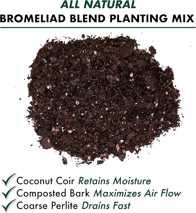 Better-GRO Bromeliad Blend 8 Quart